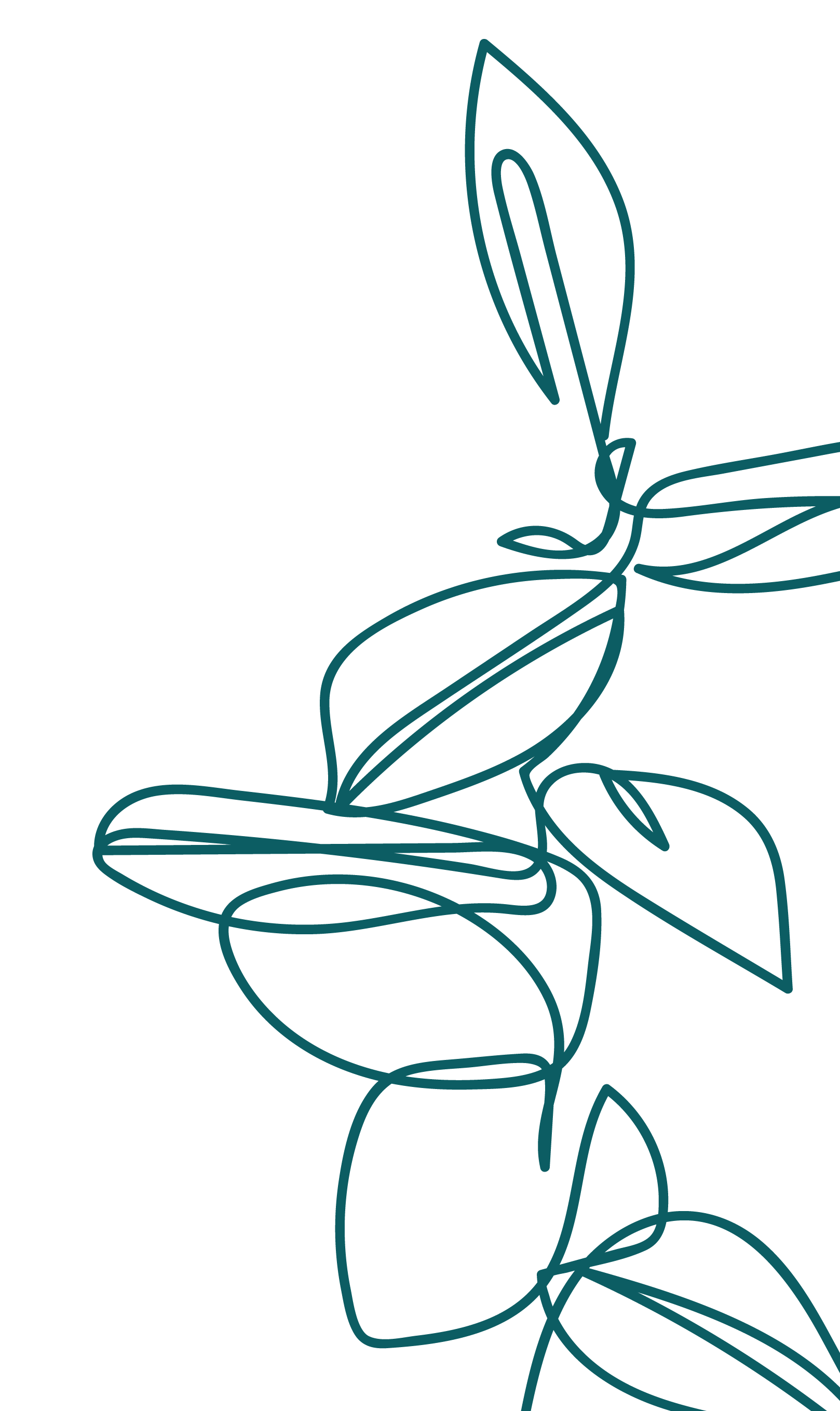 Pflanze Portfolio SK web